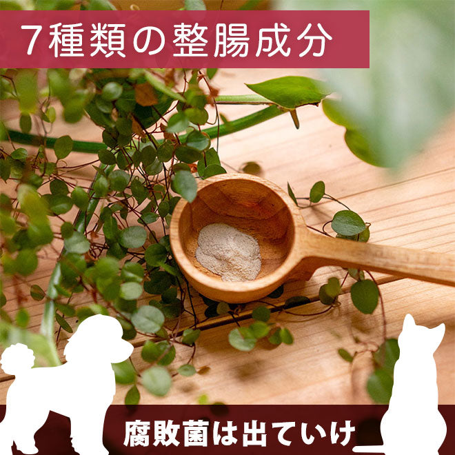 7種の整腸成分:プロテオ