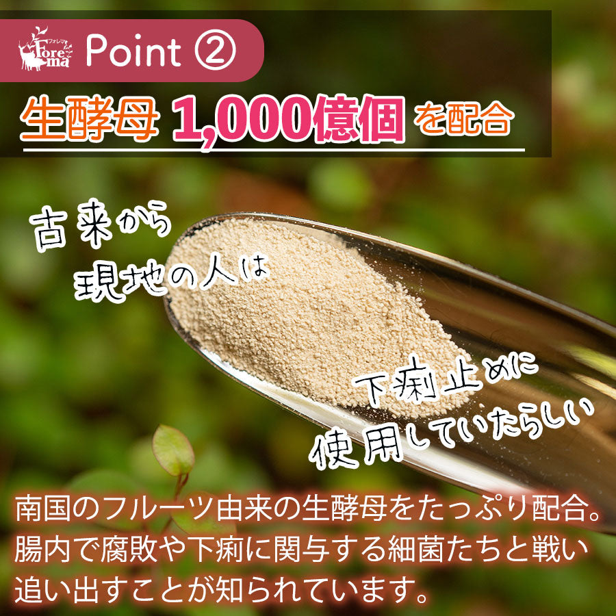 生酵母1,000億個を配合:プロテオ