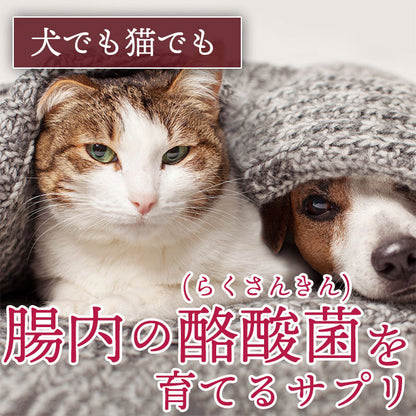 犬と猫の酪酸菌を育てます