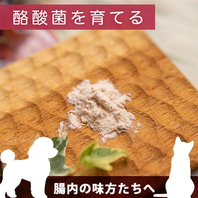 腸内の酪酸菌を育てるサプリ