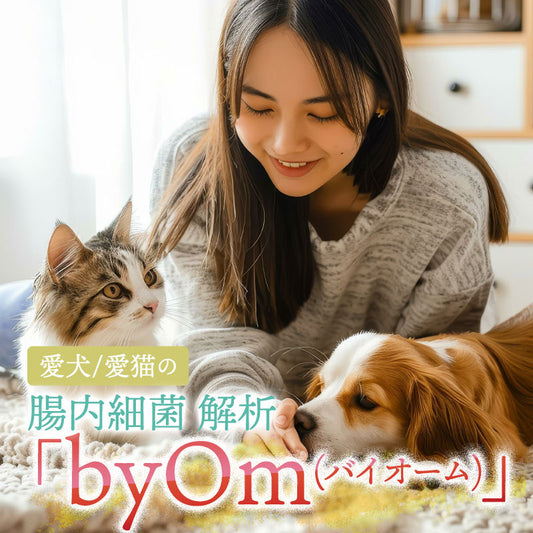 「byOm(バイオーム)」愛犬/愛猫の腸内細菌解析