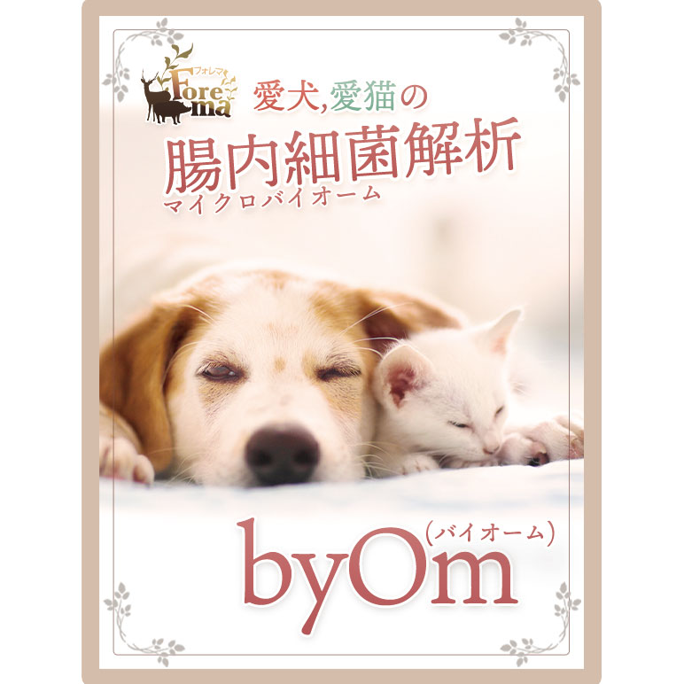 犬と猫のケストース,メリットとデメリット